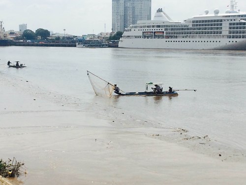 [-]Cá[-]trên[-]sông[-]Sài[-]Gòn[-]vẫn[-]bị[-]tận[-]diệt